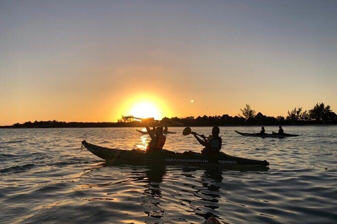 Kayak Mangroves Sunrise Experience - A Deep Dive into the Itinerary