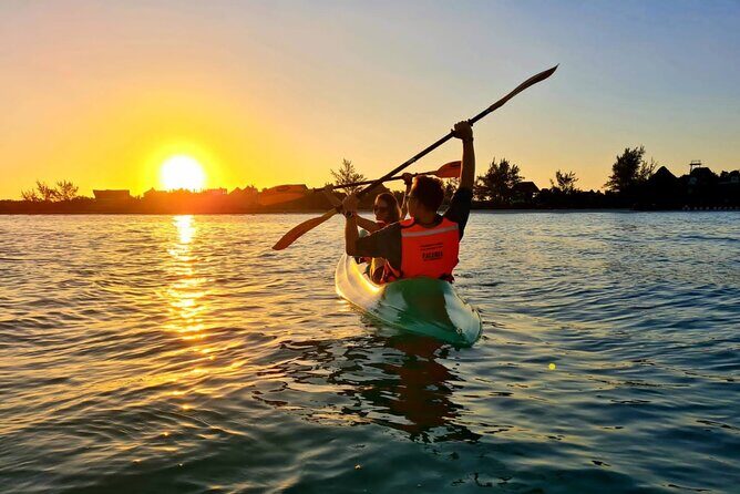 Kayak Mangroves Sunrise Experience - Practical Considerations and Tips