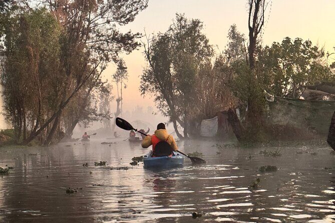 Kayak one more Sunrise Adventure in Xochimilco - An In-Depth Look at the Dawn Kayak Tour in Xochimilco
