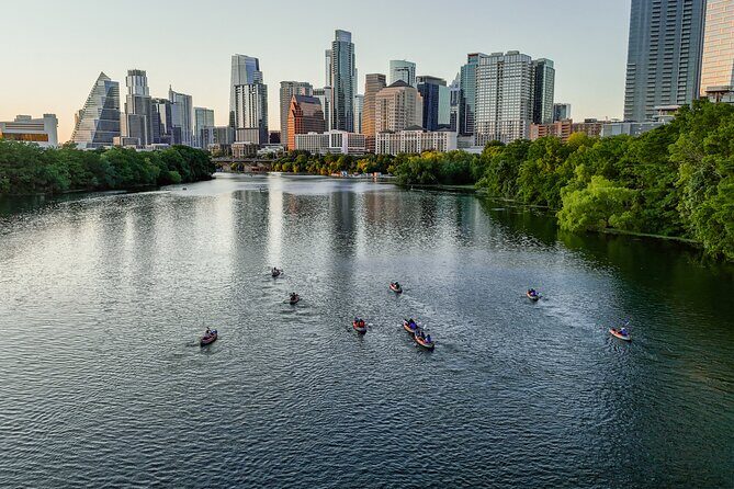 Kayak or Paddle Board Sunset Bat Tour - Key Points