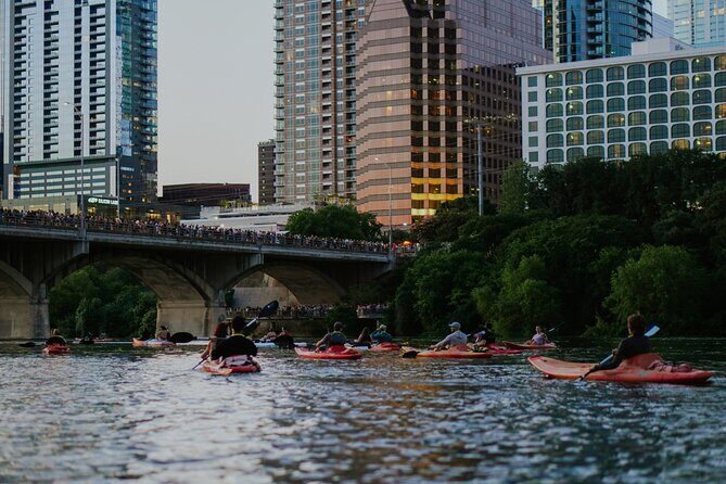 Kayak or Paddle Board Sunset Bat Tour - Value and Practical Considerations