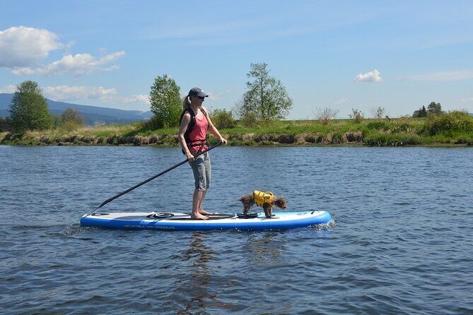 Kayak or Paddleboard Rentals Sosua , Cosita Rica, Neptuno Beach - Who Will Enjoy This?