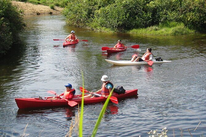 Kayak/Paddleboard Rouge River - Self Guided Descent - An In-Depth Look at the Rouge River Experience