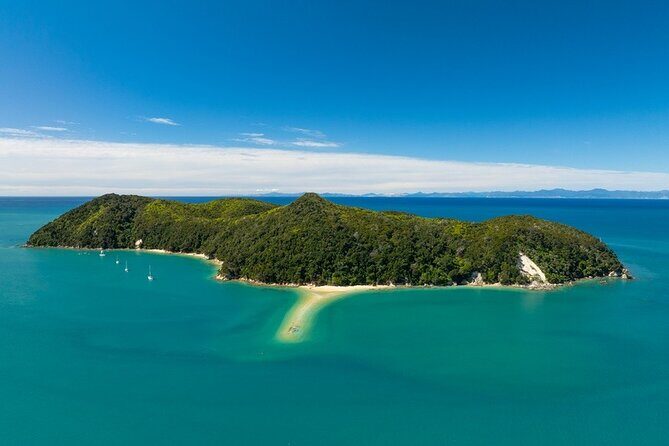 Kayak & Pitt Head Nature Loop - Guided Kayak & Unguided Walk - New Zealand - Why Choose This Tour?
