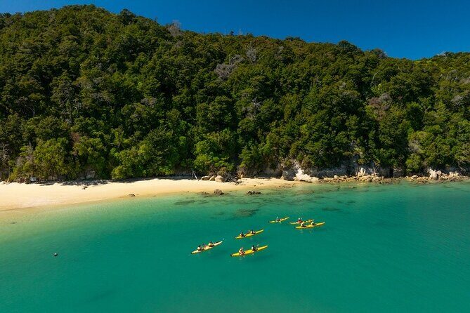 Kayak & Pitt Head Nature Loop - Guided Kayak & Unguided Walk - New Zealand - The Sum Up
