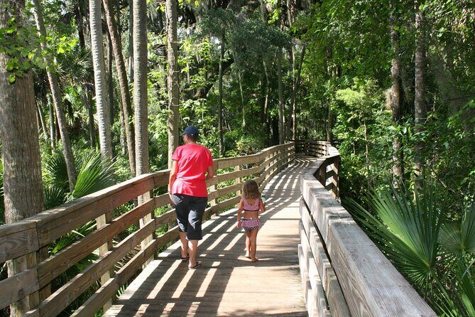 Kayak Rental (2hr) - Blue Spring State Park - The Sum Up