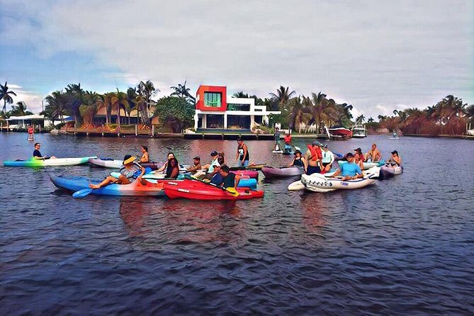 Kayak Rental: Explore Mangroves and Self-Navigated River Eco Paddle - A Detailed Look at the Experience