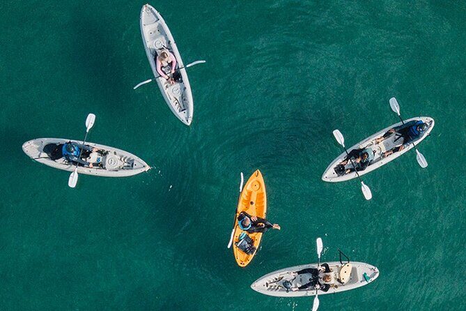 Kayak Rental for Two People in La Jolla - An In-Depth Look at What the Experience Offers