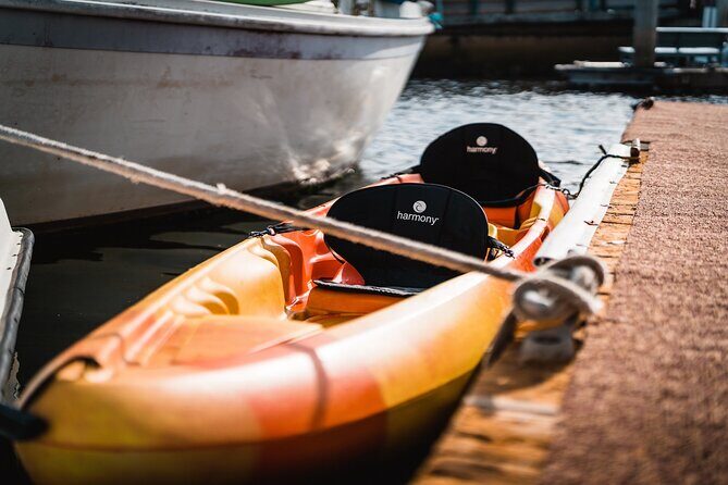 Kayak Rental in Redondo Beach, USA - Deep Dive: Breaking Down the Experience