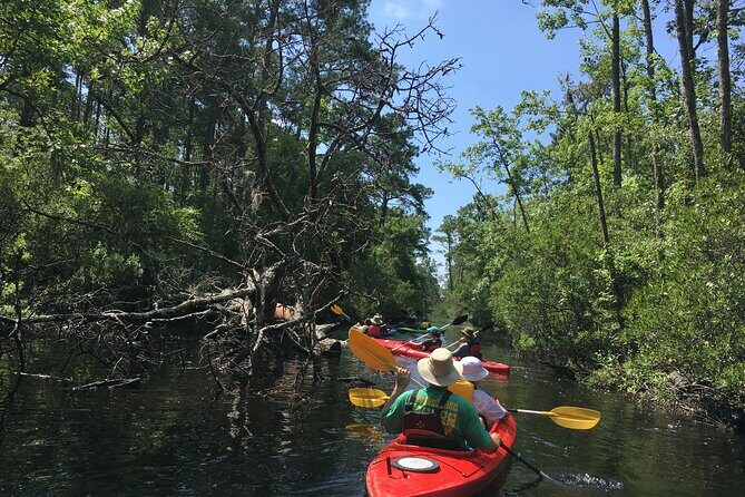 Kayak Rental on the Outer Banks - Final Thoughts