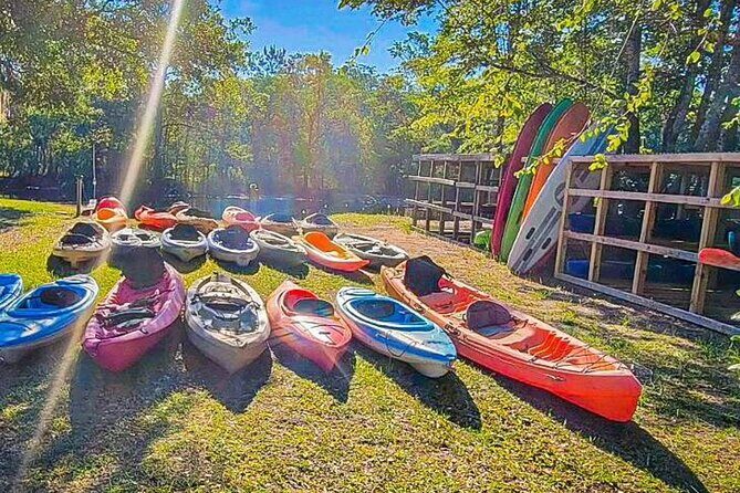 Kayak Rental on the Waccamaw River - The Itinerary: A Gentle Balance of Adventure and Calm