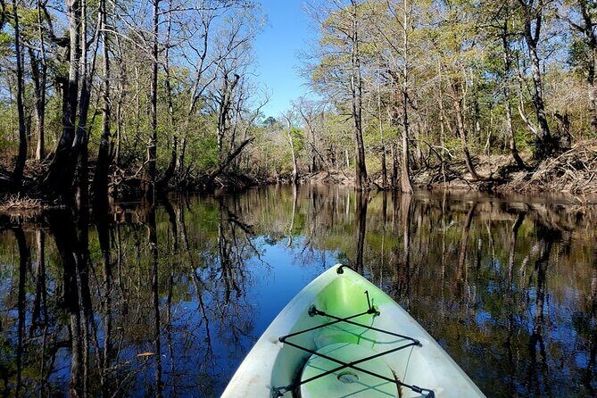 Kayak Rental on the Waccamaw River - Pricing and Overall Value
