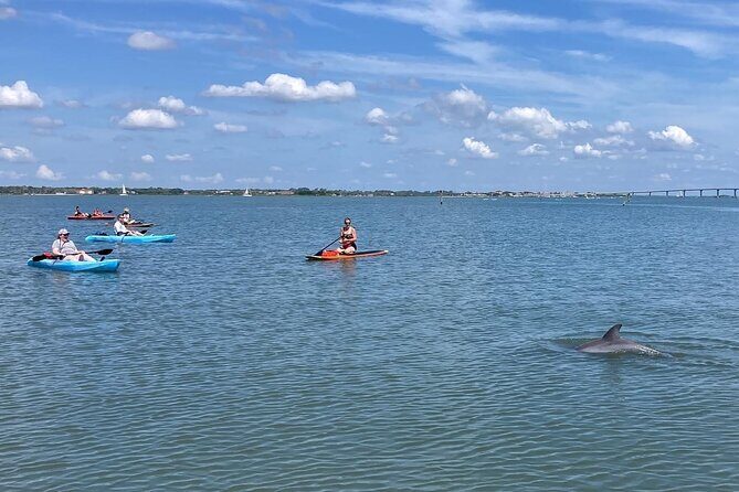 Kayak Rentals - What the Experience Offers