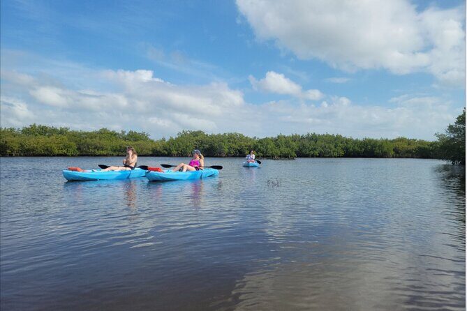 Kayak Rentals - The Details Matter: What You Need to Know