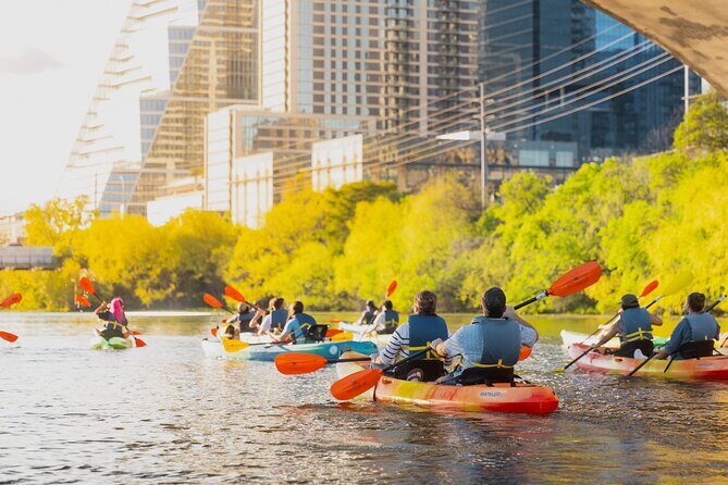 Kayak Rentals on Lady Bird Lake - What to Expect on Your Kayaking Adventure