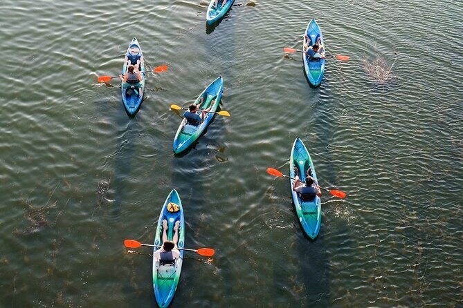 Kayak Rentals on Lady Bird Lake - The Sum Up: Is This Kayak Rental Right for You?