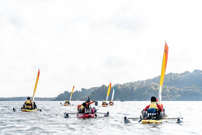 Kayak Sailing in Singapore, Mangrove, Kelong & Pulau Ubin, Seafood Meal Included - What to Expect: A Step-by-Step Breakdown