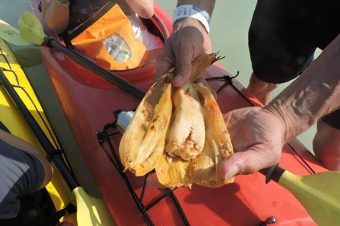 Kayak Sian Kaan Biosphere Reserve Sunset Tour - An Introduction to the Tour Experience