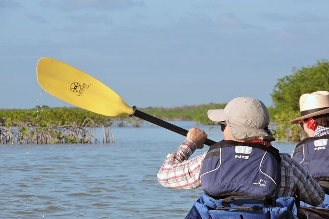 Kayak Sian Kaan Biosphere Reserve Sunset Tour - Authentic Reviews and Real Experiences
