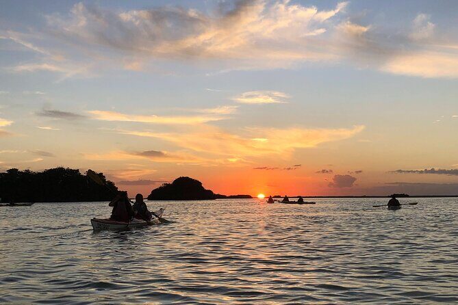 Kayak Sian Kaan Experience - An In-Depth Look at the Kayak Sian Kan Experience
