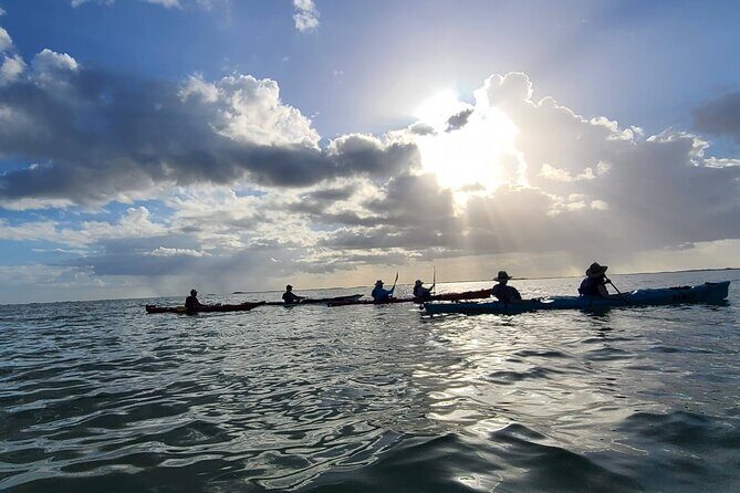 Kayak Sian Kaan Experience - The Sum Up: Is This Kayak Tour Worth It?