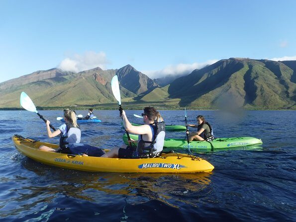 Kayak, Snorkel and Surf Package - How the Experience Feels in Practice
