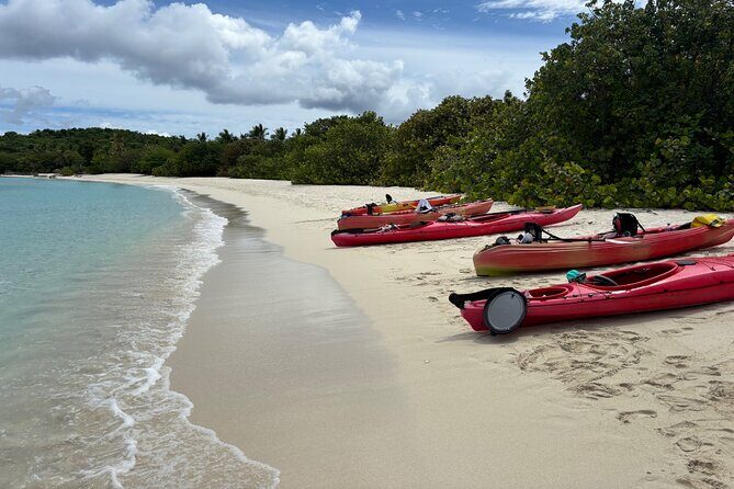 Kayak & Snorkel with Sea Turtles, National Park, St. John - Who Will Enjoy This Tour?