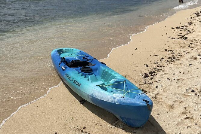 Kayak Stand Up Paddle Board SUP Rental - The Sum Up: Is This the Right Choice for You?