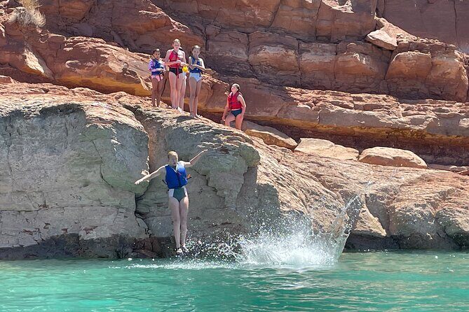 Kayak/SUP Tour: Birds, Beavers, Turtles, maybe even Cliff Jumping - The Value Proposition