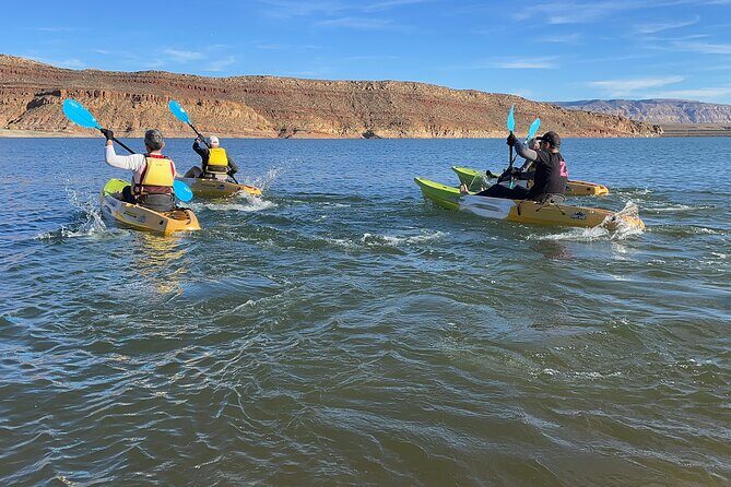 Kayak/SUP Tour: Birds, Beavers, Turtles, maybe even Cliff Jumping - Final Thoughts