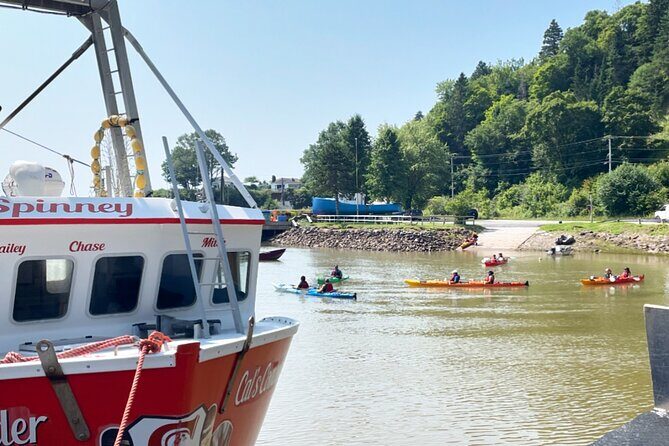 Kayak the Bay of Fundy Sea Caves - Key Points