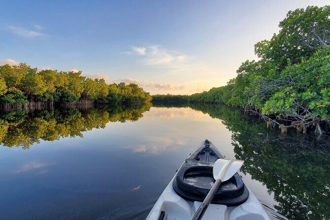 Kayak through Mangrove Forests in the Florida Keys - Authentic Experiences from Travelers