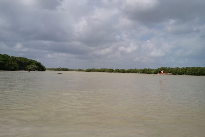 kayak through mangroves to secret beach - Is This Tour Right for You?