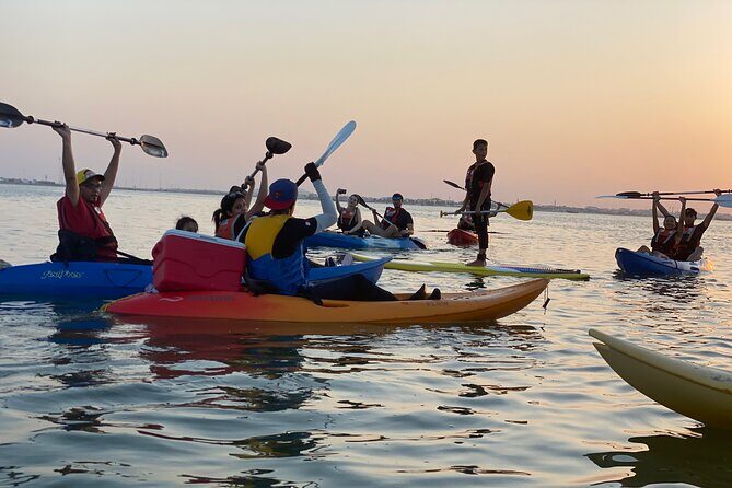Kayak Through the Mangroves to the Purple Island - The Value of the Experience