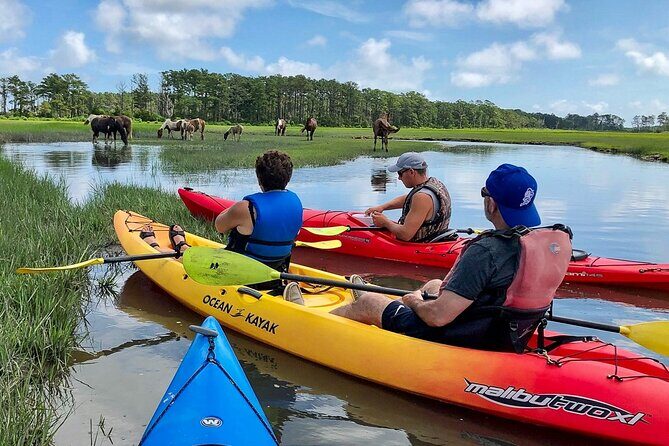 Kayak Tour along Assateague & Chincoteague Island, Virginia - An In-Depth Look at the Kayak Tour Experience