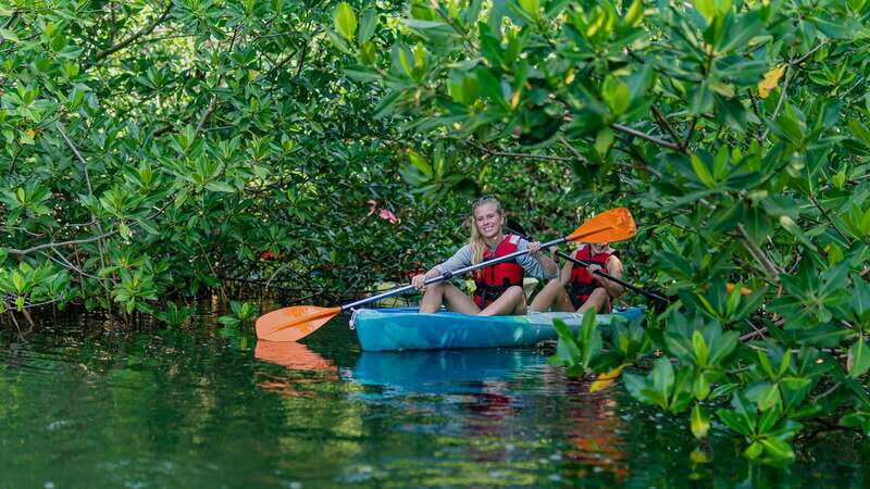 Kayak Tour in Cancun with Photos included - A Deep Dive into the Experience