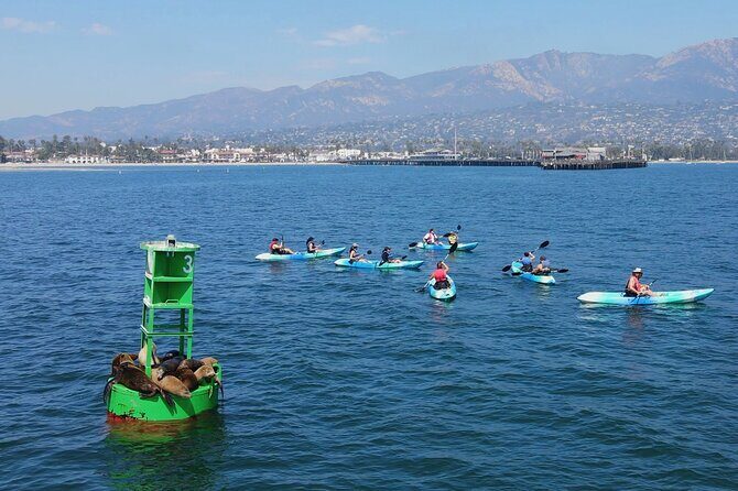 Kayak Tour of Santa Barbara with Experienced Guide - FAQs