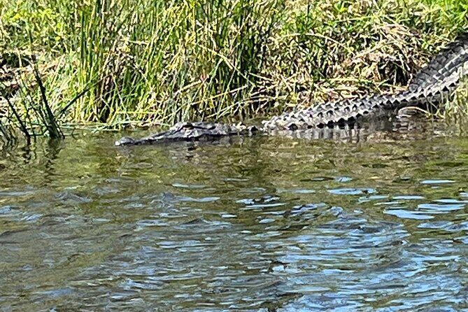 Kayak Tour Of The Honey Island Swamp and Backwaters - Frequently Asked Questions
