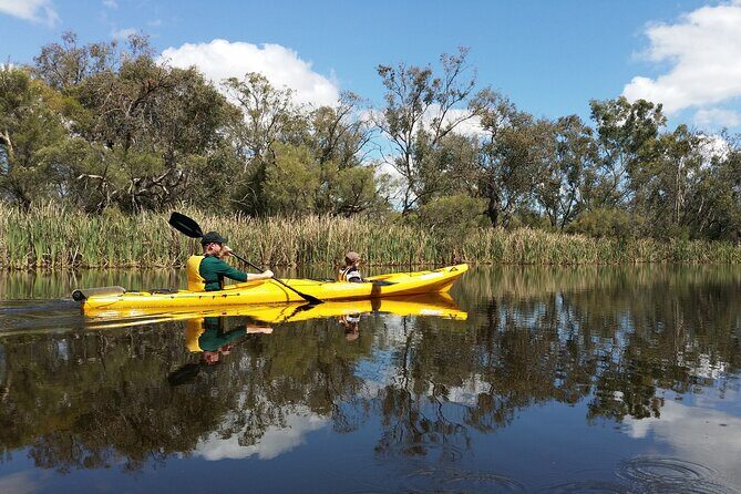 Kayak Tour on the Canning River - An In-Depth Look at the Canning River Kayak Tour