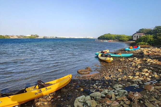 Kayak Tour to Seaglass Island - The Experience in Detail