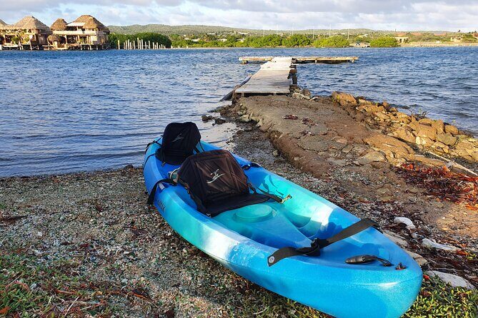 Kayak Tour to Seaglass Island - Final Thoughts