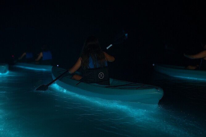 Kayak Tours and Rentals. Dolphins, Manatees, and Bioluminescence! - What to Expect from the Kayak Tours and Rentals