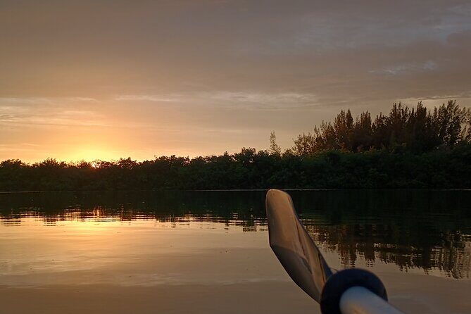Kayak Tours and Rentals. Dolphins, Manatees, and Bioluminescence! - The Practical Side: What You Need to Know