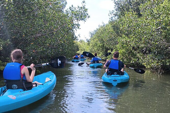 Kayak Tours and Rentals. Dolphins, Manatees, and Bioluminescence! - FAQ — Common Questions About the Tour