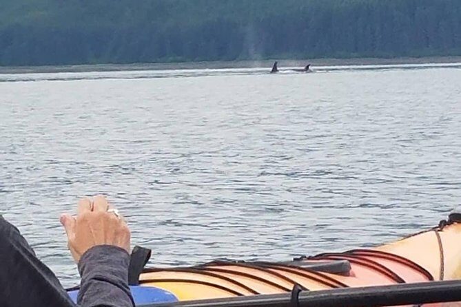 Kayak Tours - The Guides and Their Role