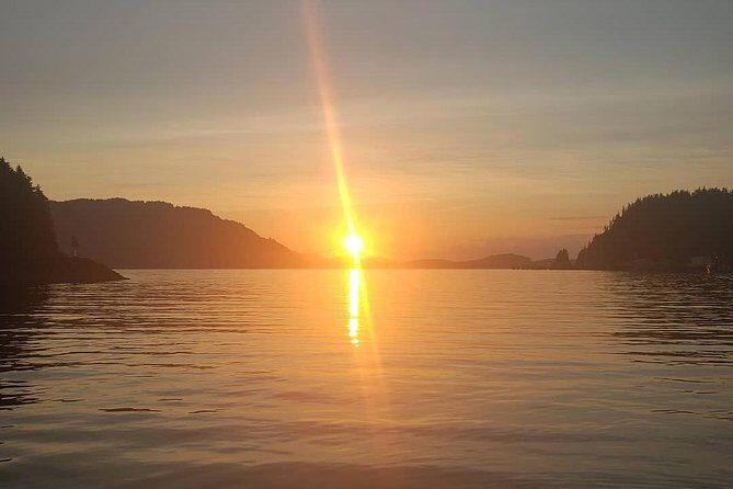 Kayak Tours - The Bottom Line