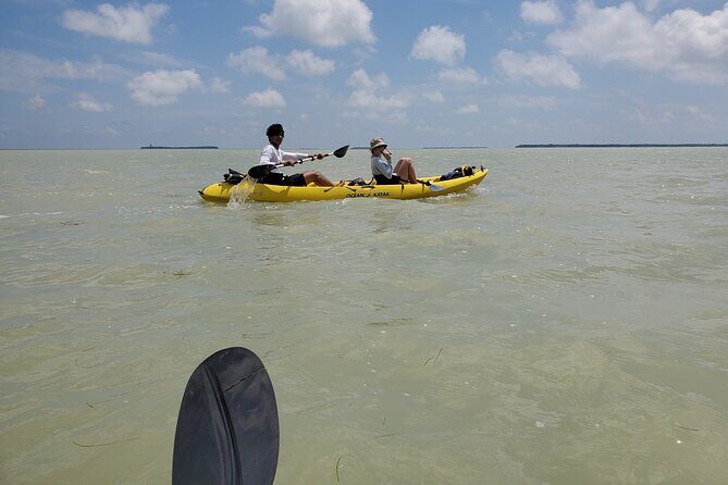 Kayak Trip, 1 Wet Hike + 2 dry hikes in Everglades National Park - A Day in the Everglades: What to Expect