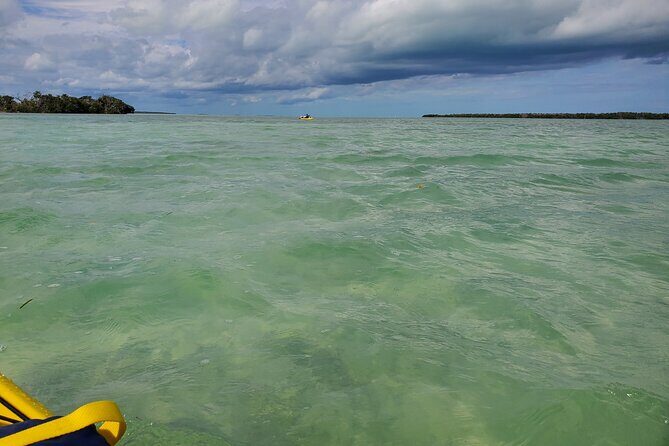 Kayak Trip, 1 Wet Hike + 2 dry hikes in Everglades National Park - The Value and Overall Impression