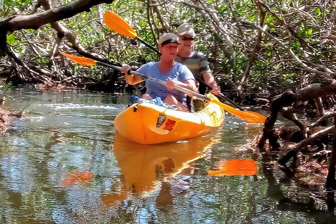 Kayak Trip, 1 Wet Hike + 2 dry hikes in Everglades National Park - Who Will Love This Tour?
