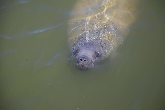 Kayak Trip, 1 Wet Hike + 2 dry hikes in Everglades National Park - FAQs